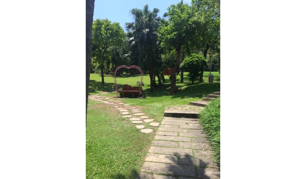 S__25706499.jpg