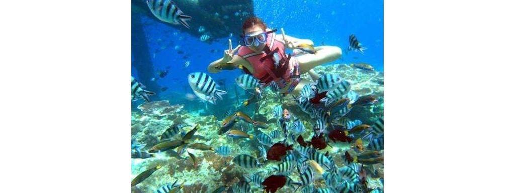 201204251155443679.jpg